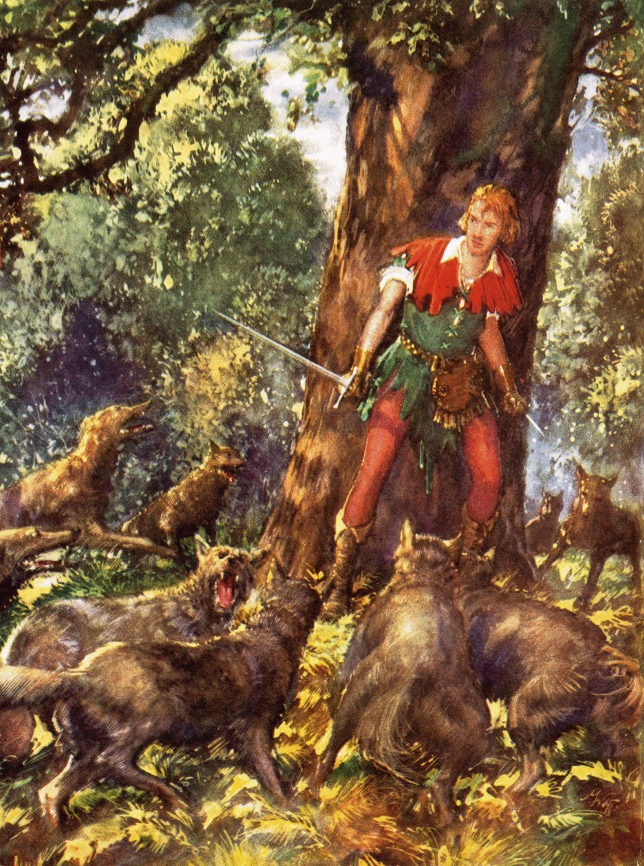 Robin Hood v pasti vlků od John Millar Watt