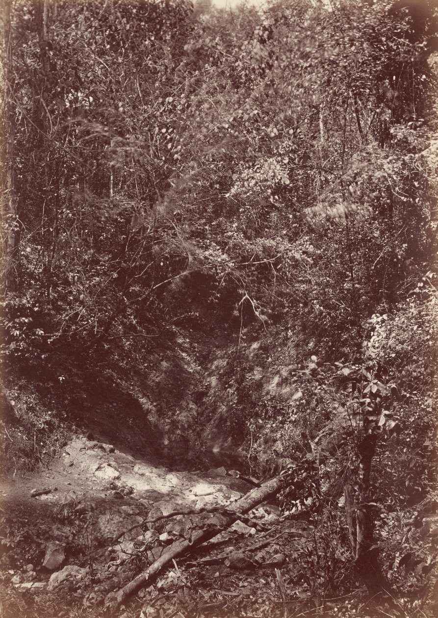 Expedice Darien, 1871 (foto) od John Moran