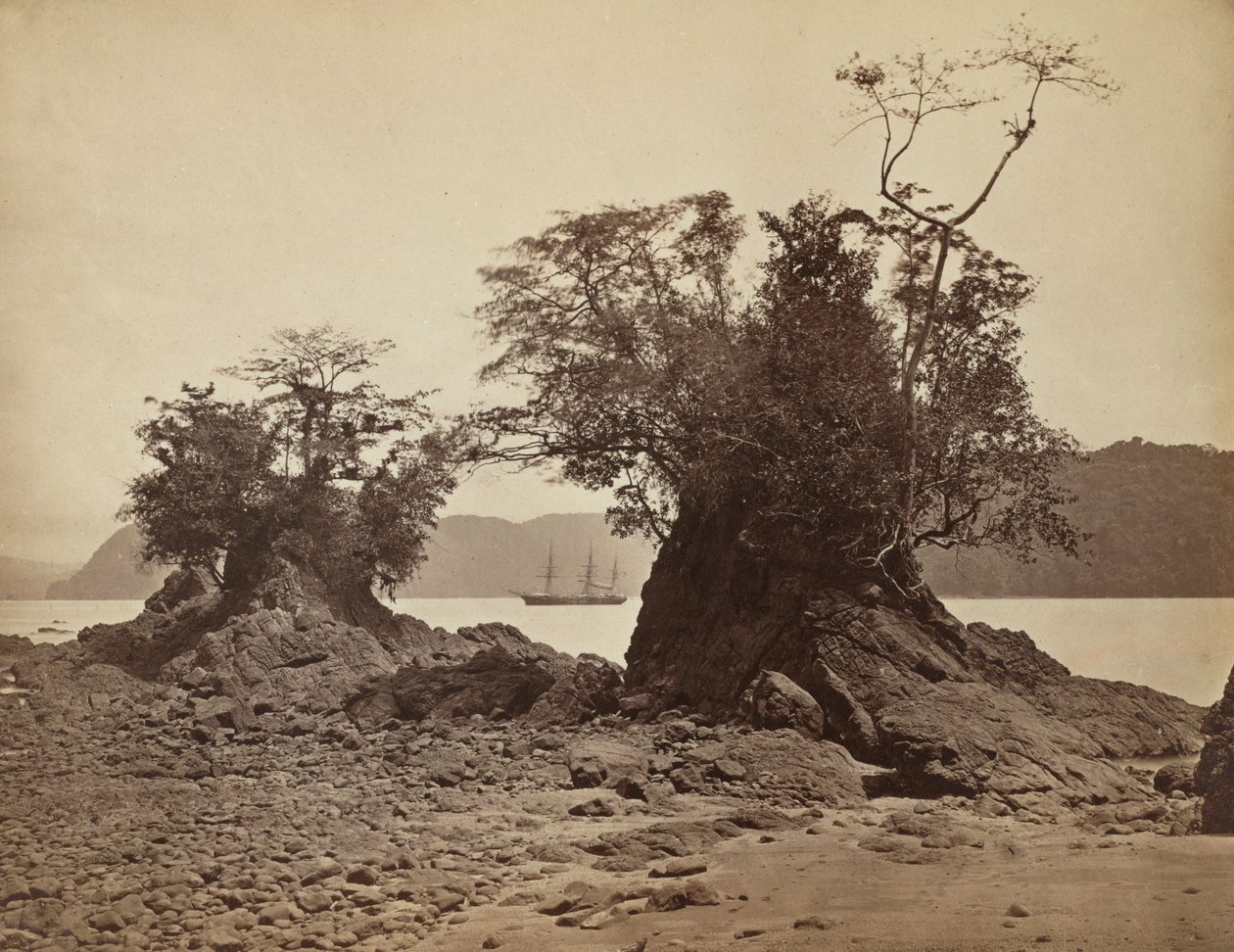 Ostrovy v Lemon Bay, 1871. od John Moran