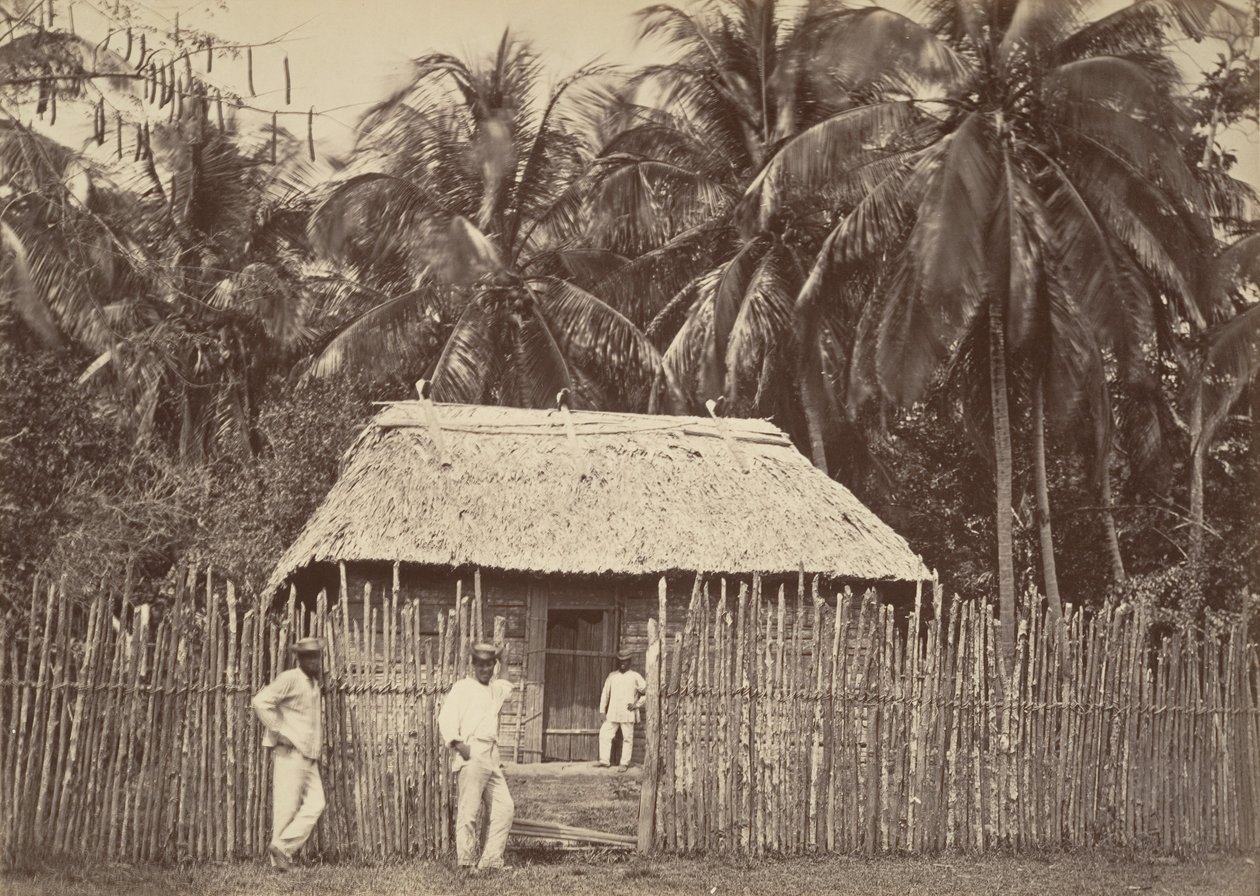 Tropická scenérie, Native Hut, Turbo, 1871. od John Moran