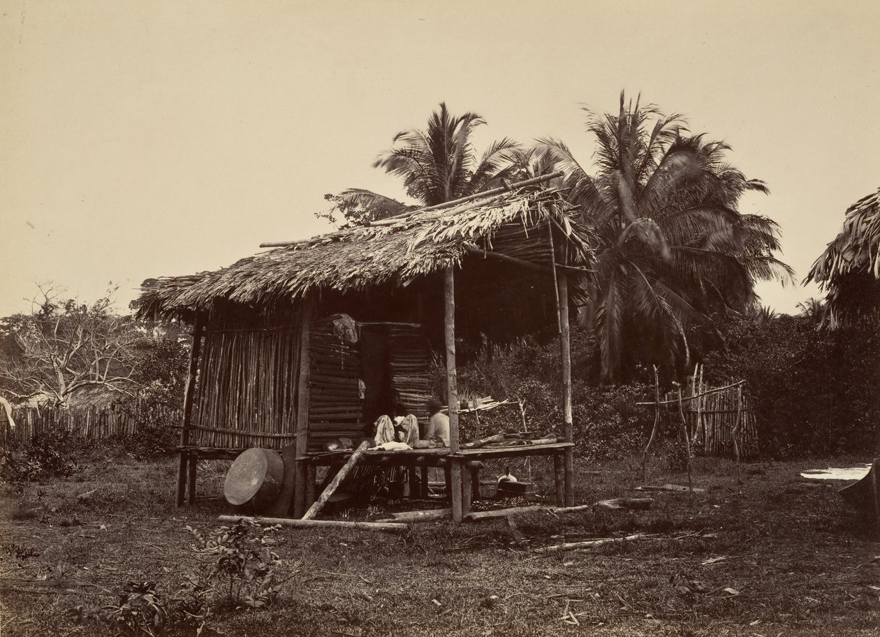 Tropická scenérie, Native Hut, Turbo, 1871. od John Moran
