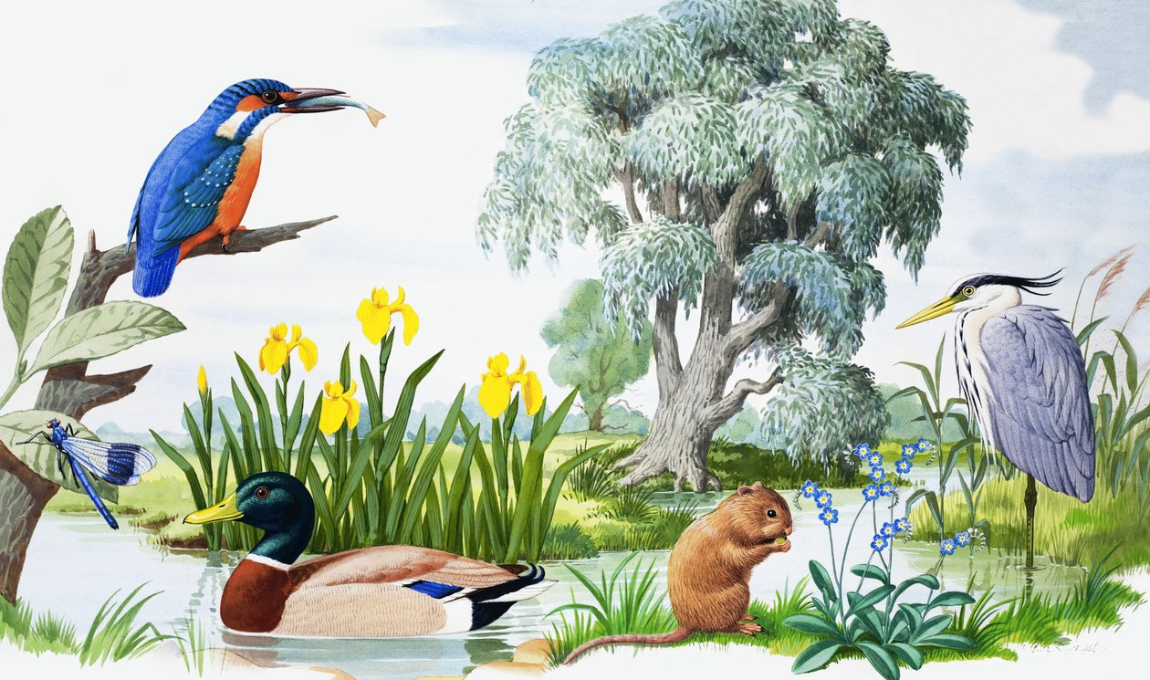 U potoka od John Rignall