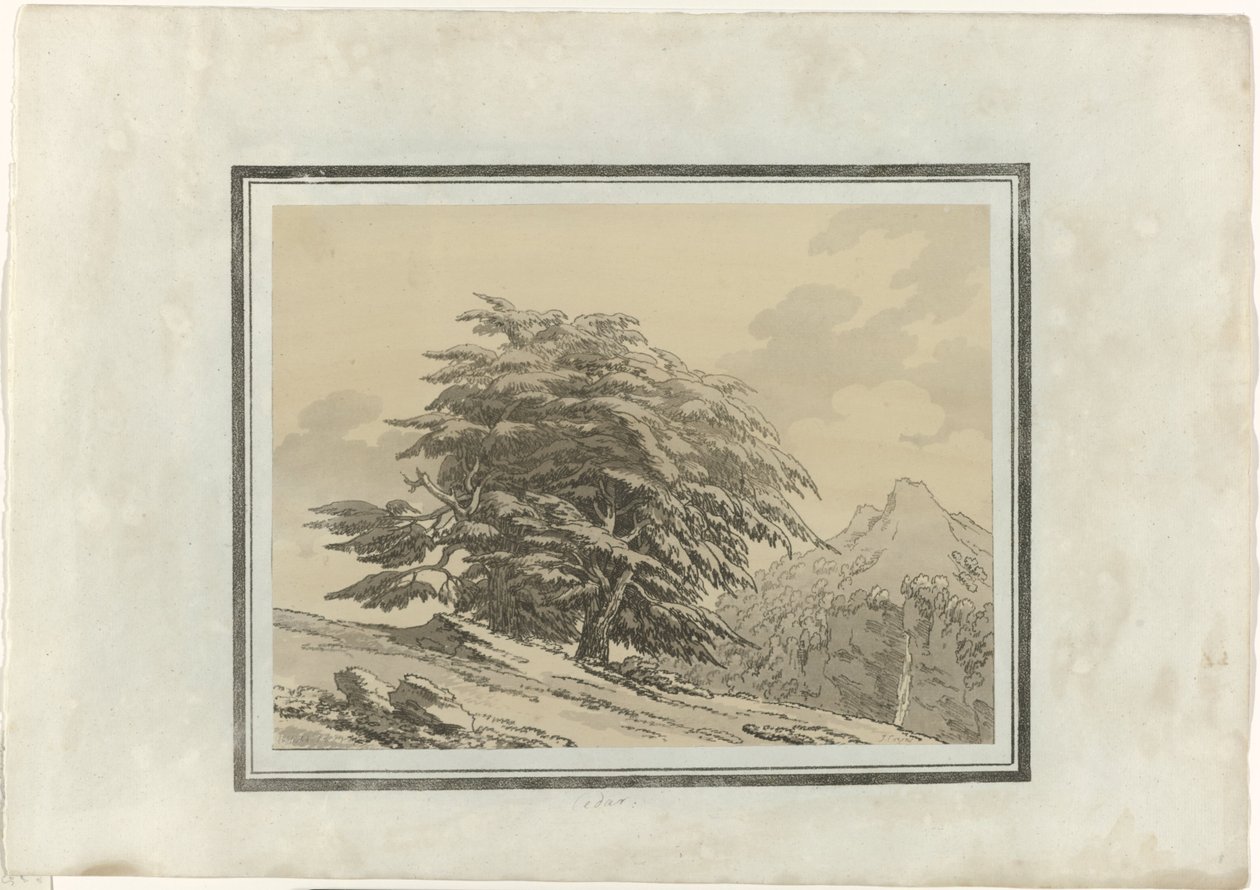 Cedr od John Robert Cozens