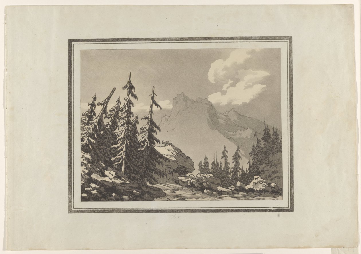 Jedle od John Robert Cozens