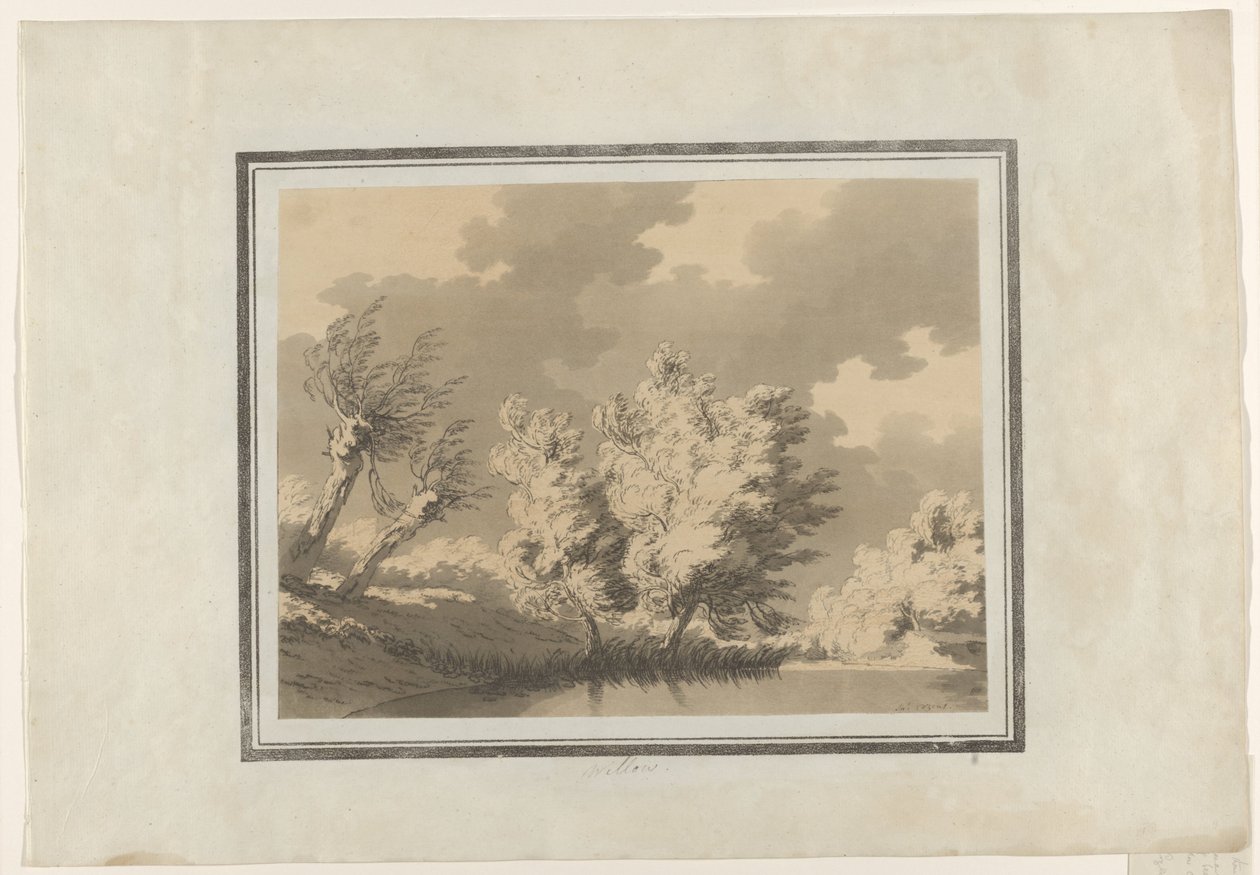 Vrba od John Robert Cozens