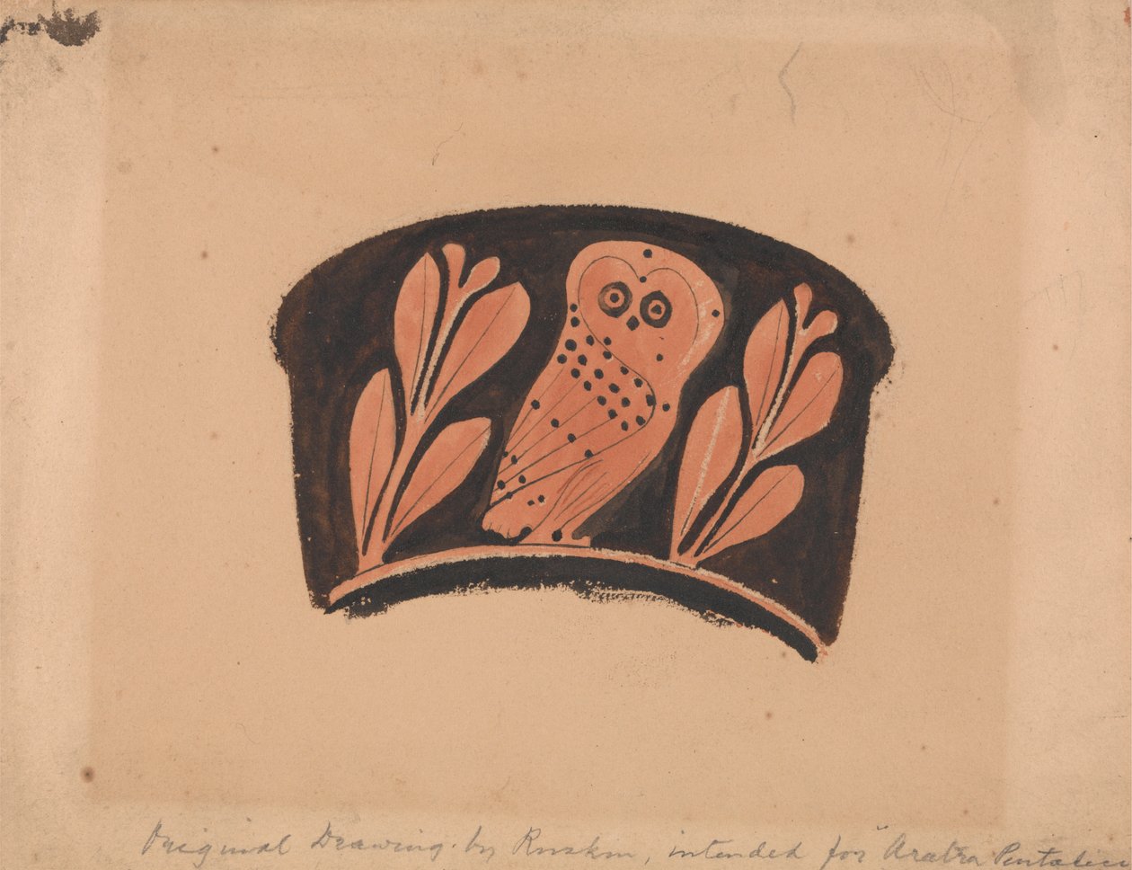 Sova, Po podkroví Kantharos od John Ruskin