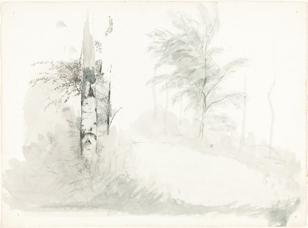 Stromová studie od John Ruskin