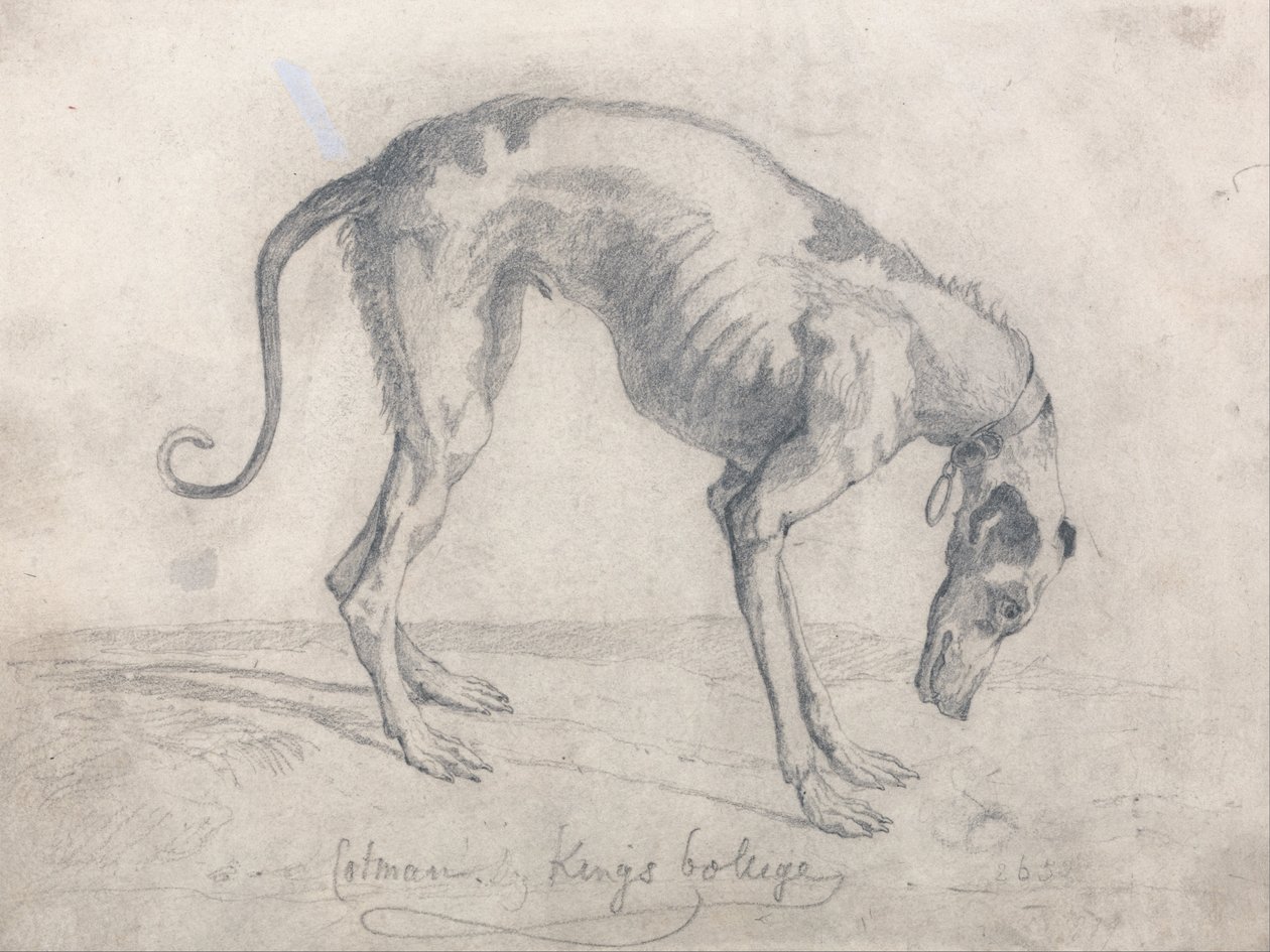 Vyhladovělý chrt od John Sell Cotman