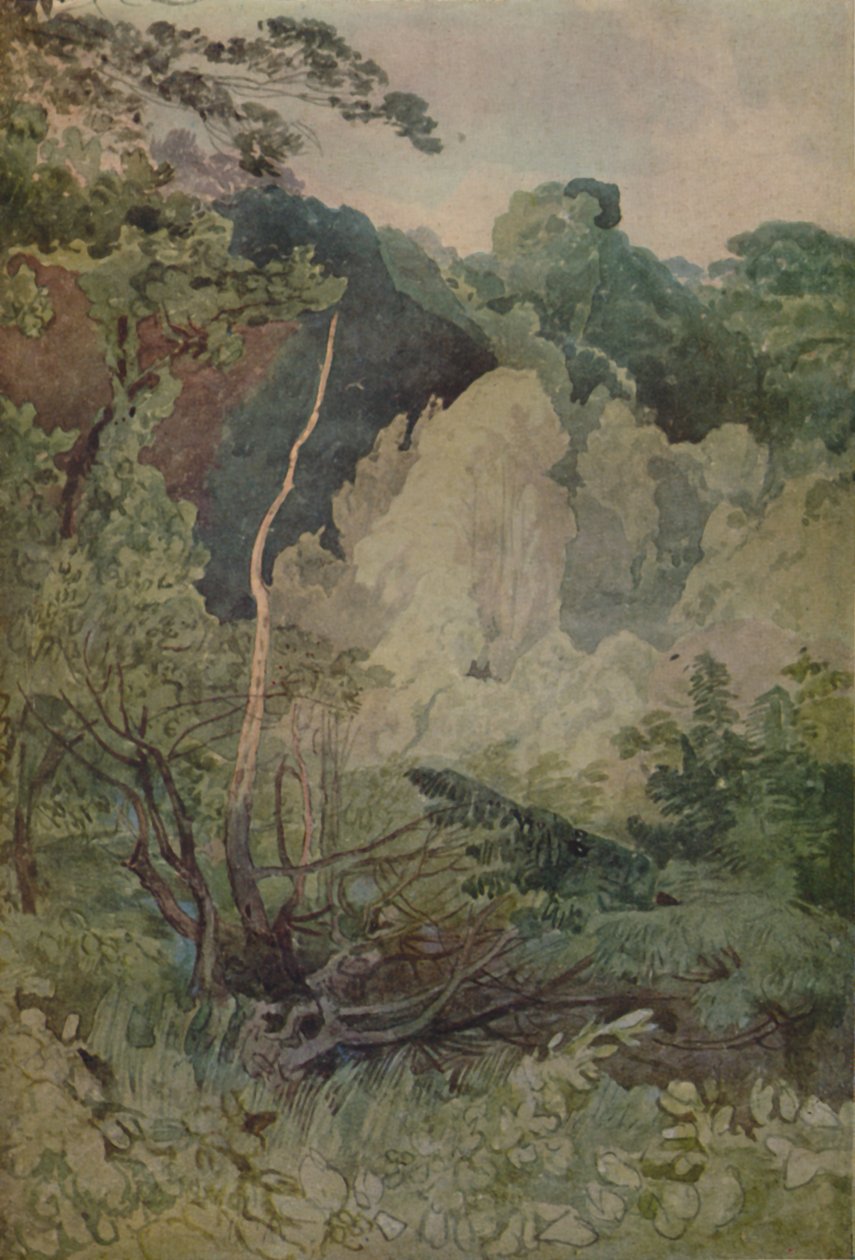 Stromy poblíž řeky Greta, 1923 od John Sell Cotman