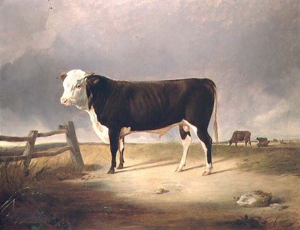 Kancléř od John Sheriff