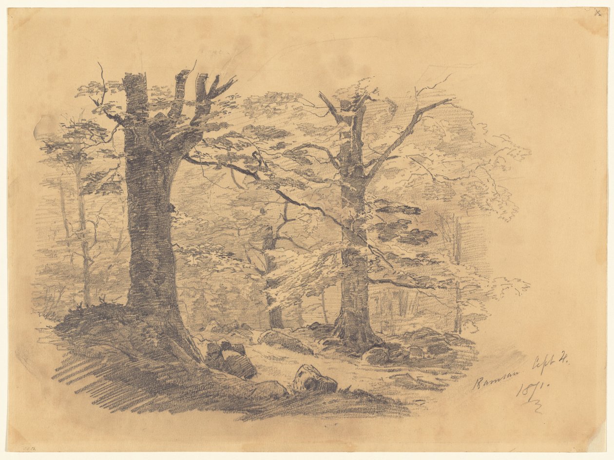 Forest, Ramsau, Německo, 1871. od John Singer Sargent