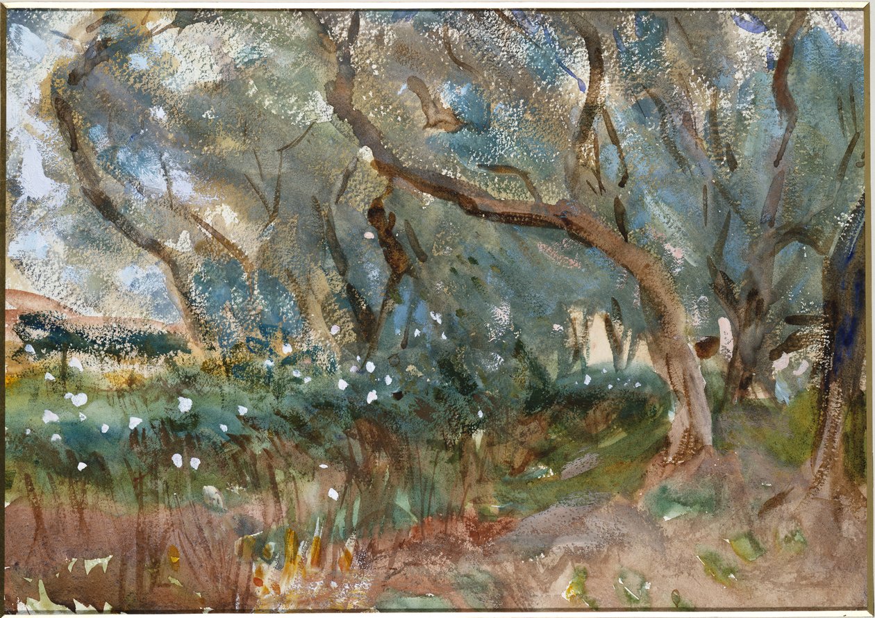Krajina, Korfu, 1909 od John Singer Sargent