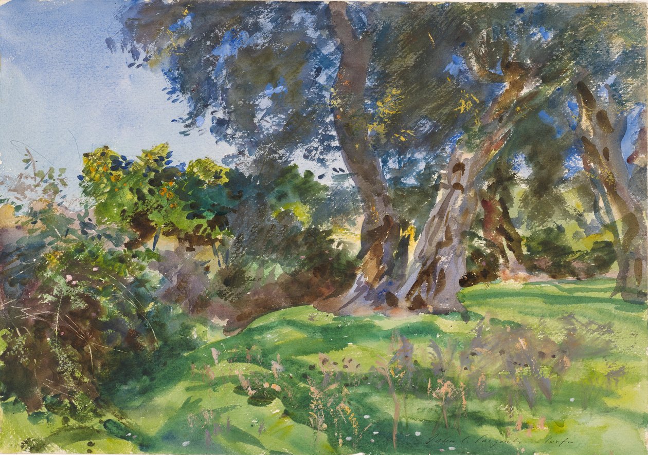 Olivovníky, Korfu od John Singer Sargent