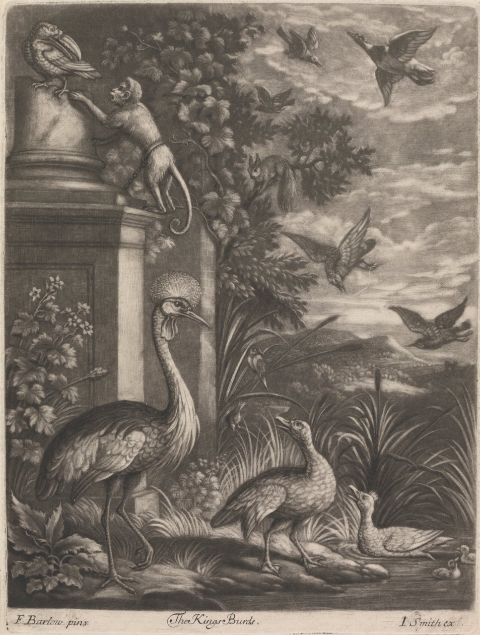 Kings Birds od John Smith