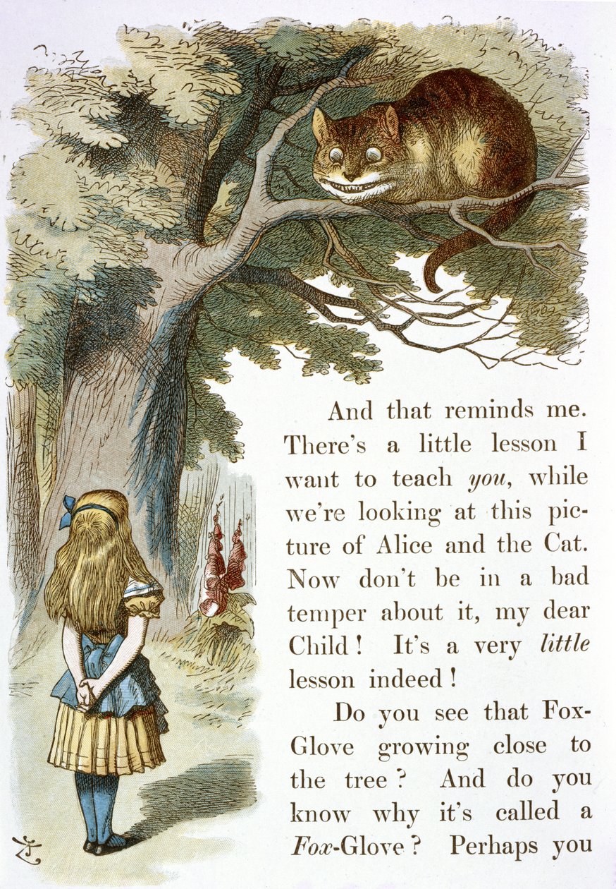 Cheshire kočka od John Tenniel