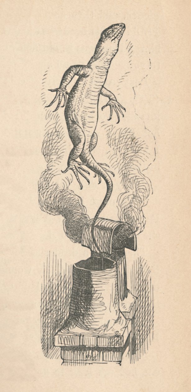 Ještěrka, 1889 od John Tenniel