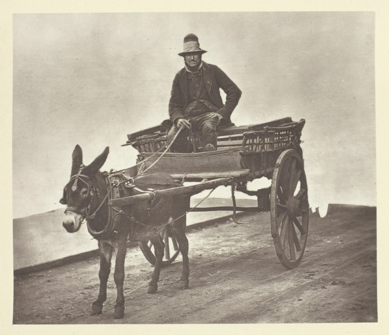 Black Jack, 1881. od John Thomson