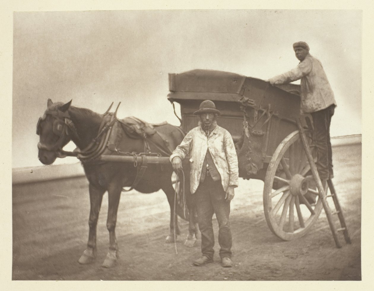 Létající pracháčci od John Thomson