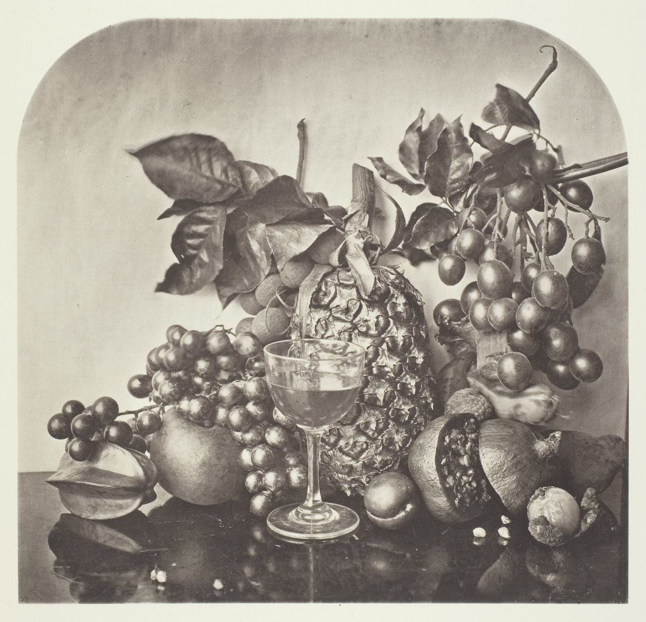 Ovoce od John Thomson