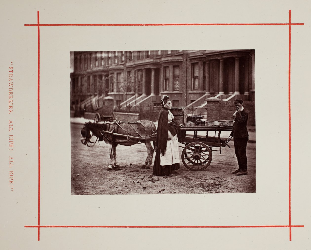Jahody. Vše zralé! Vše zralé!, 1877. od John Thomson