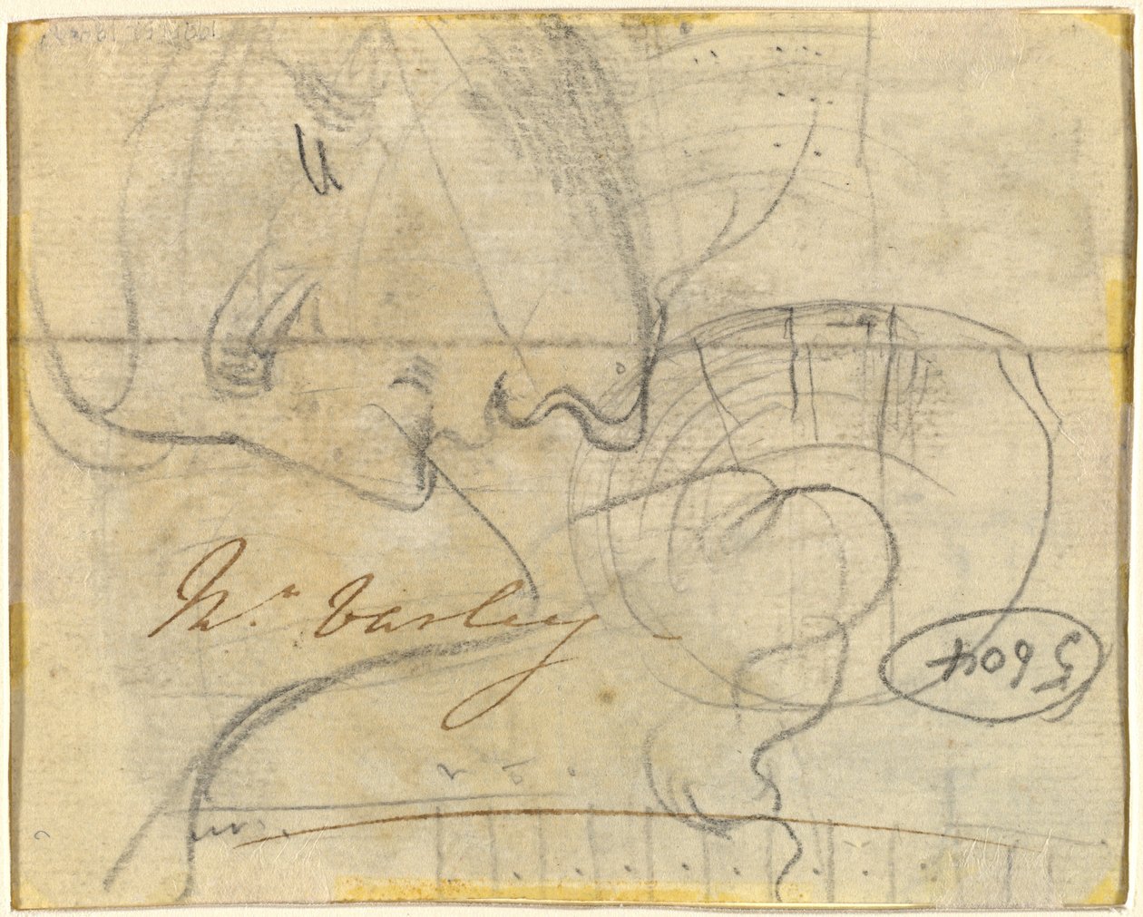 Studie hlavy v profilu [verso] od John Varley