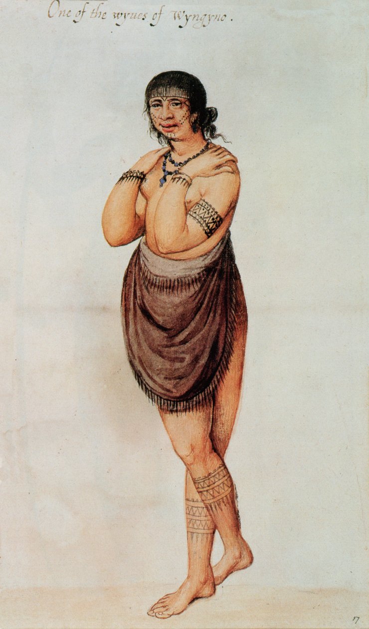 Indická žena (barva lito) od John White