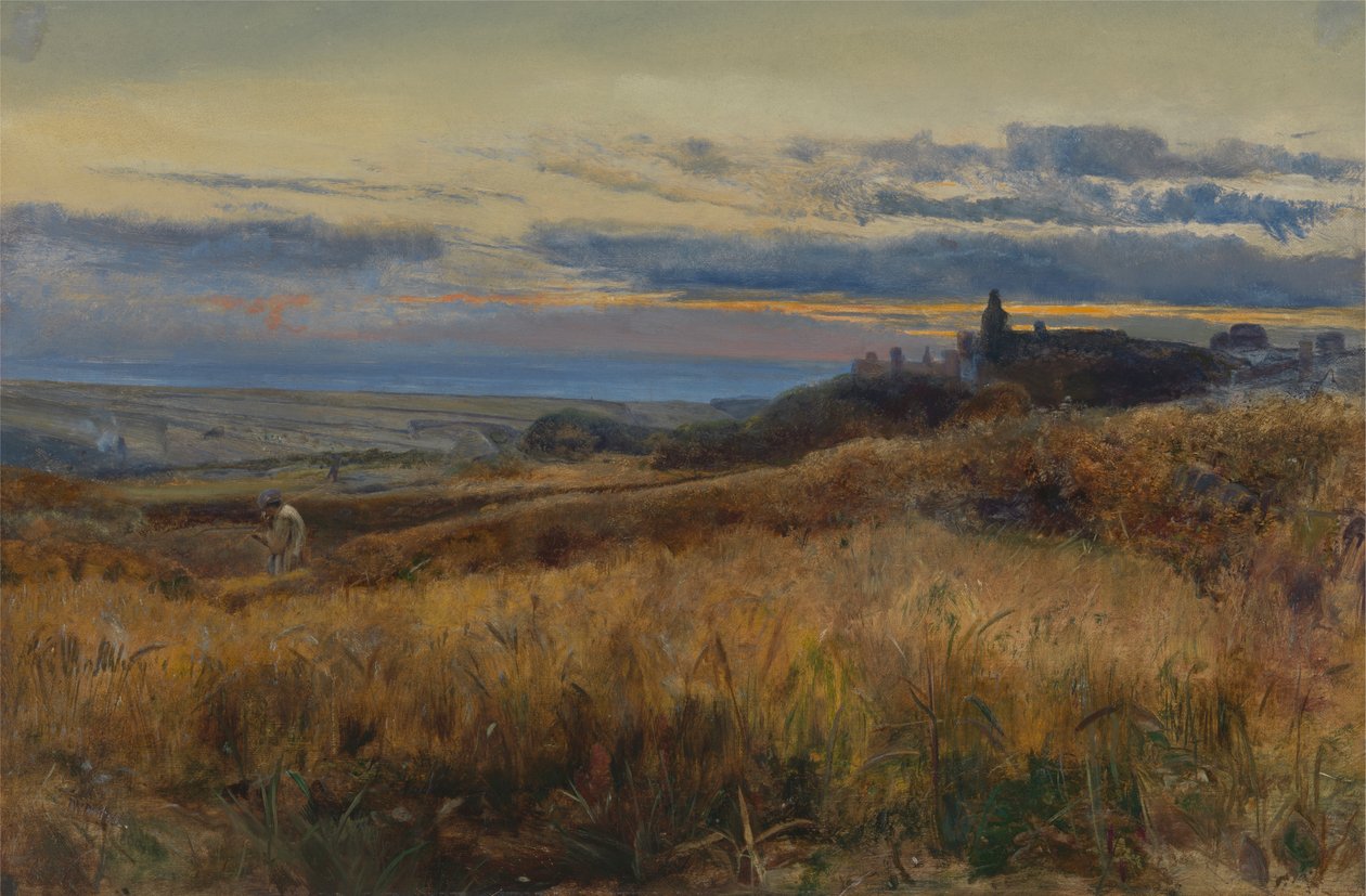 Cornfield při západu slunce od John William Inchbold