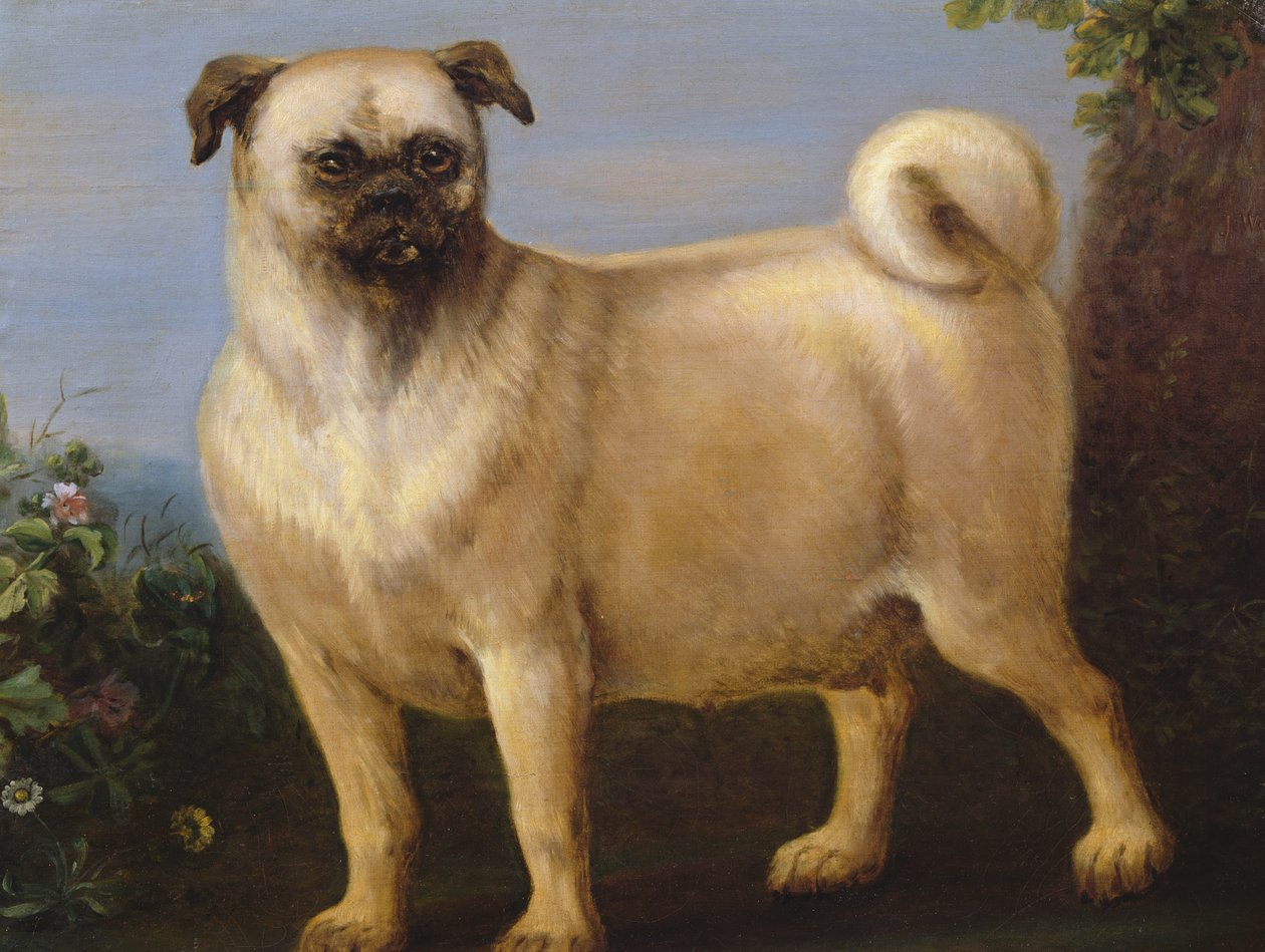 Mops v krajině od John Wootton