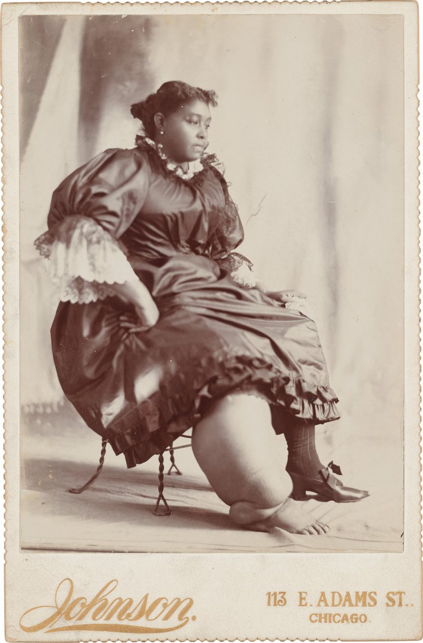 Portrét ženy, c. 1890 (foto) od Johnson
