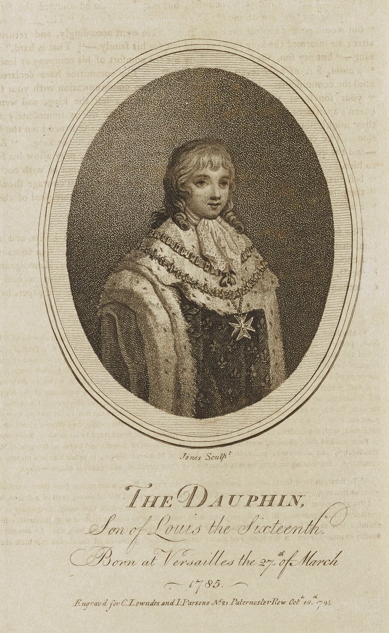 Delfín od Jones