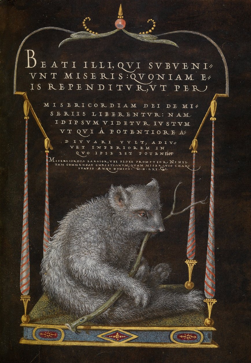 Lenost od Joris Hoefnagel