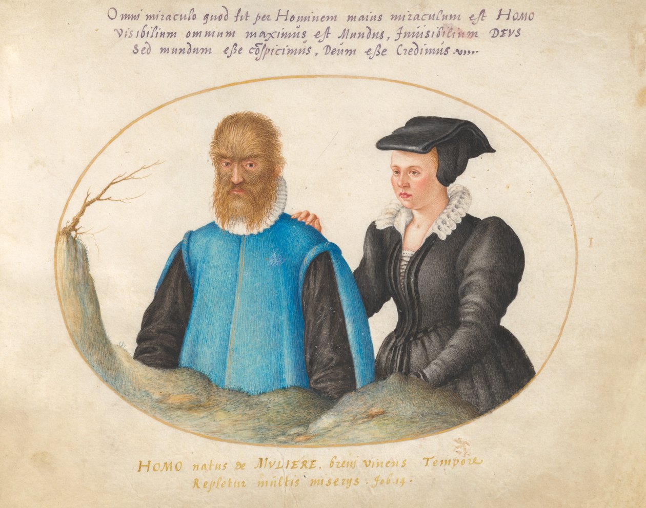 Animalia Rationalia et Insecta (Ignis)- Deska I od Joris Hoefnagel