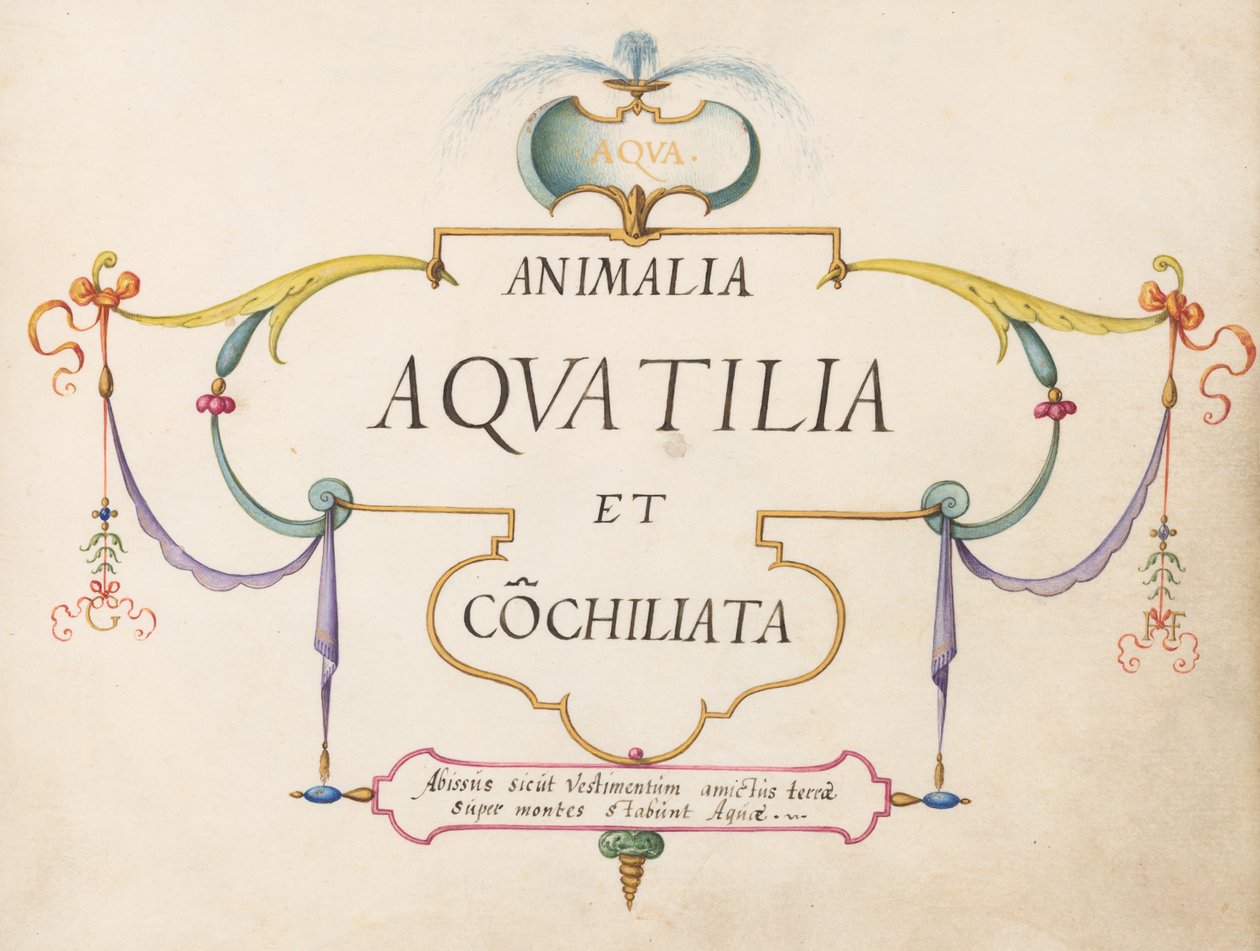Titulní strana od Joris Hoefnagel
