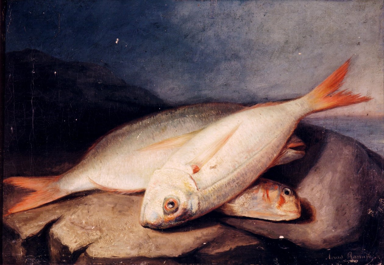 Španělsky: Bodegón de peces od José Arias Ramírez