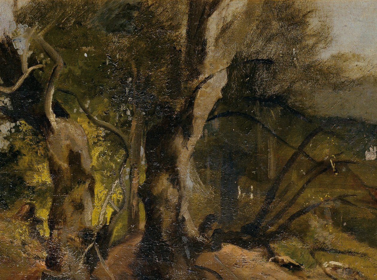 Waldstudie od Josef Navrátil
