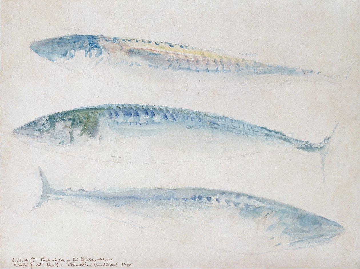 Náčrt tří makrel (wc a tužka na papíře) od Joseph Mallord William Turner