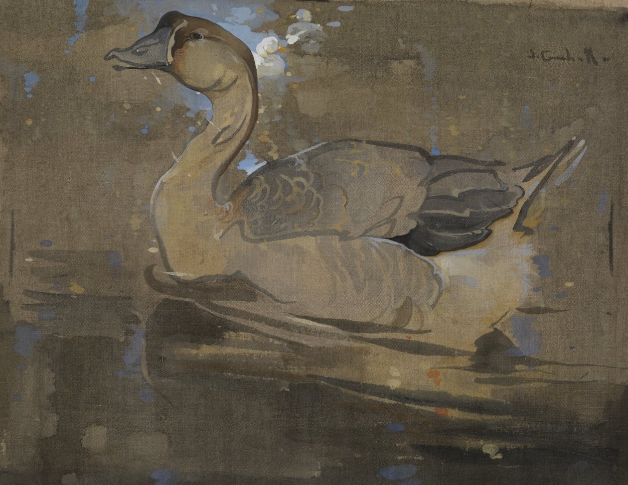 Čínská husa (kvaš na plátně) od Joseph Crawhall