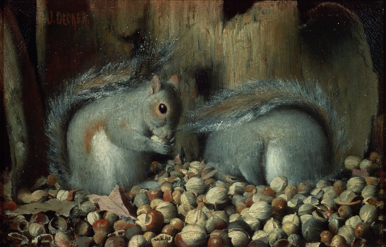 The Gluttons (veverky) od Joseph Decker