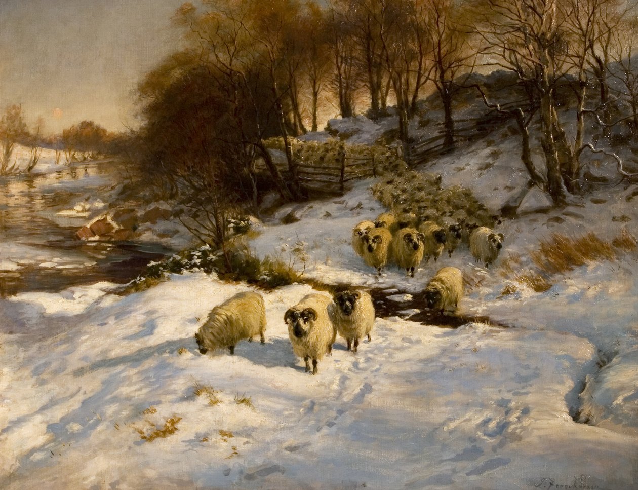Ovce ve sněhu, 1935 od Joseph Farquharson