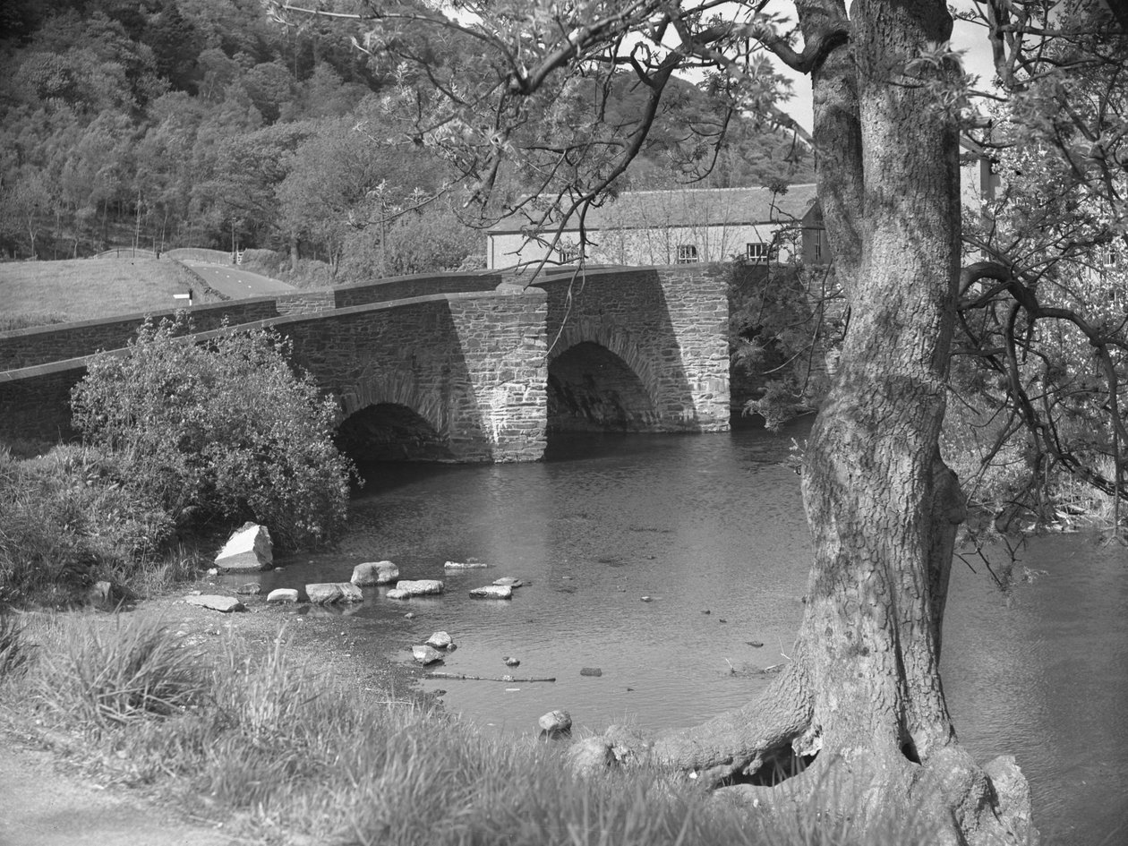 Řeka a most v Newby Bridge od Joseph Hardman
