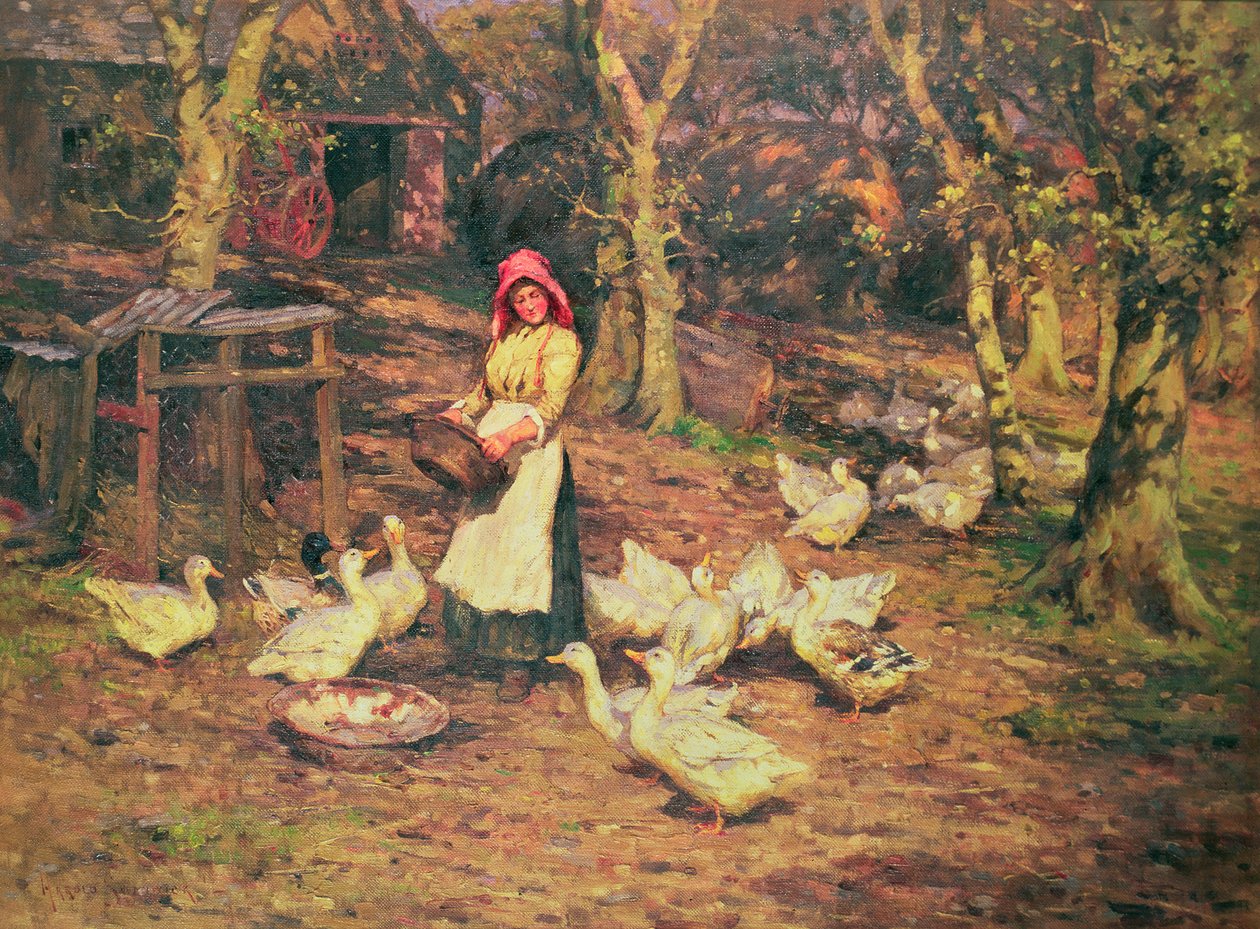 Krmení kachen od Joseph Harold Swanwick
