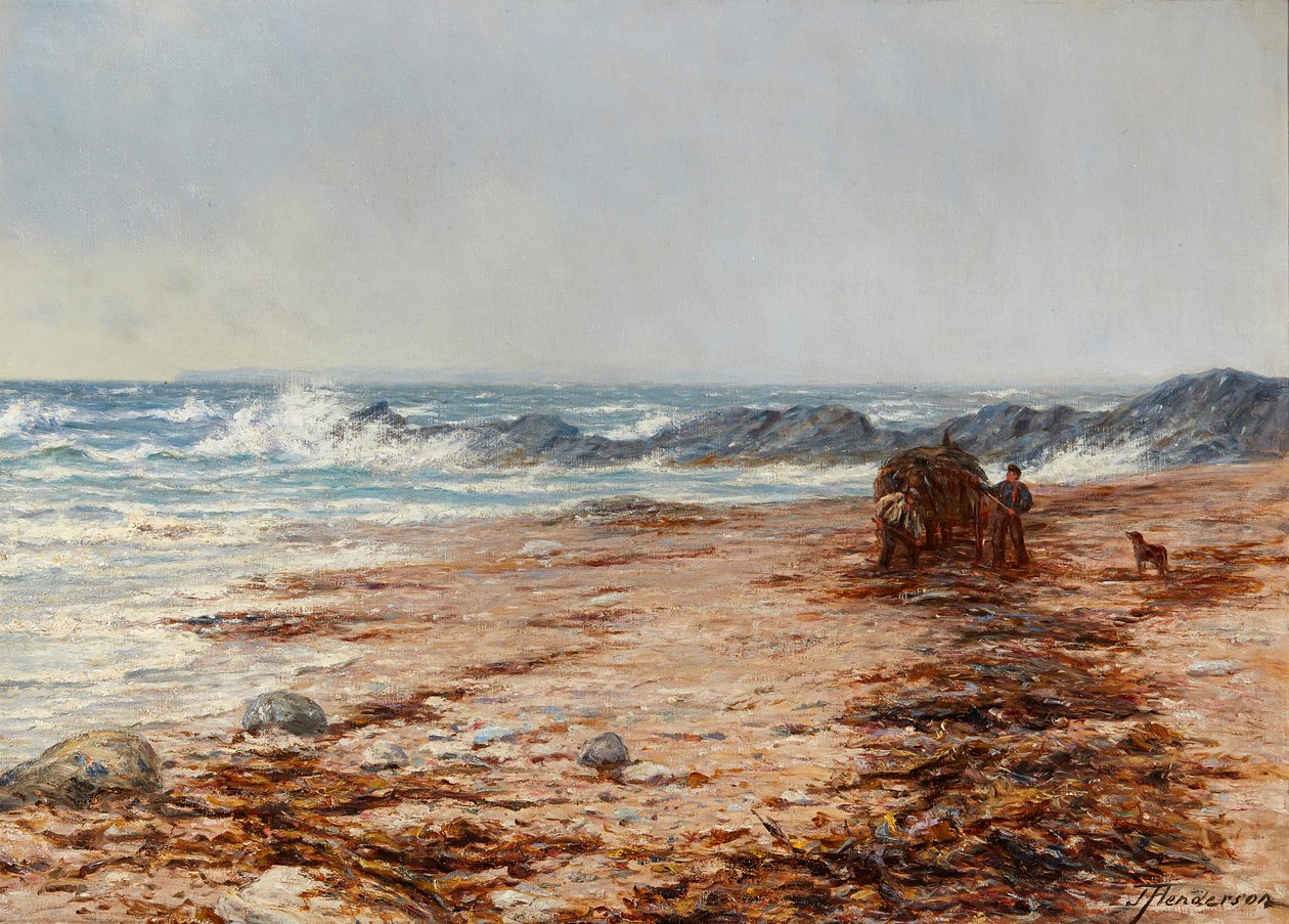 Sbírání řas (olej na plátně) od Joseph Henderson