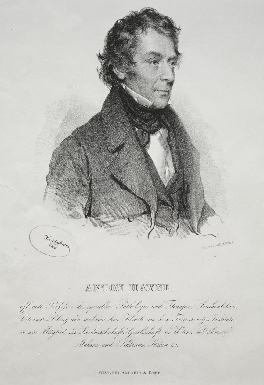 Portrét Dr. Anton Hayne, 1840. od Joseph Kriehuber