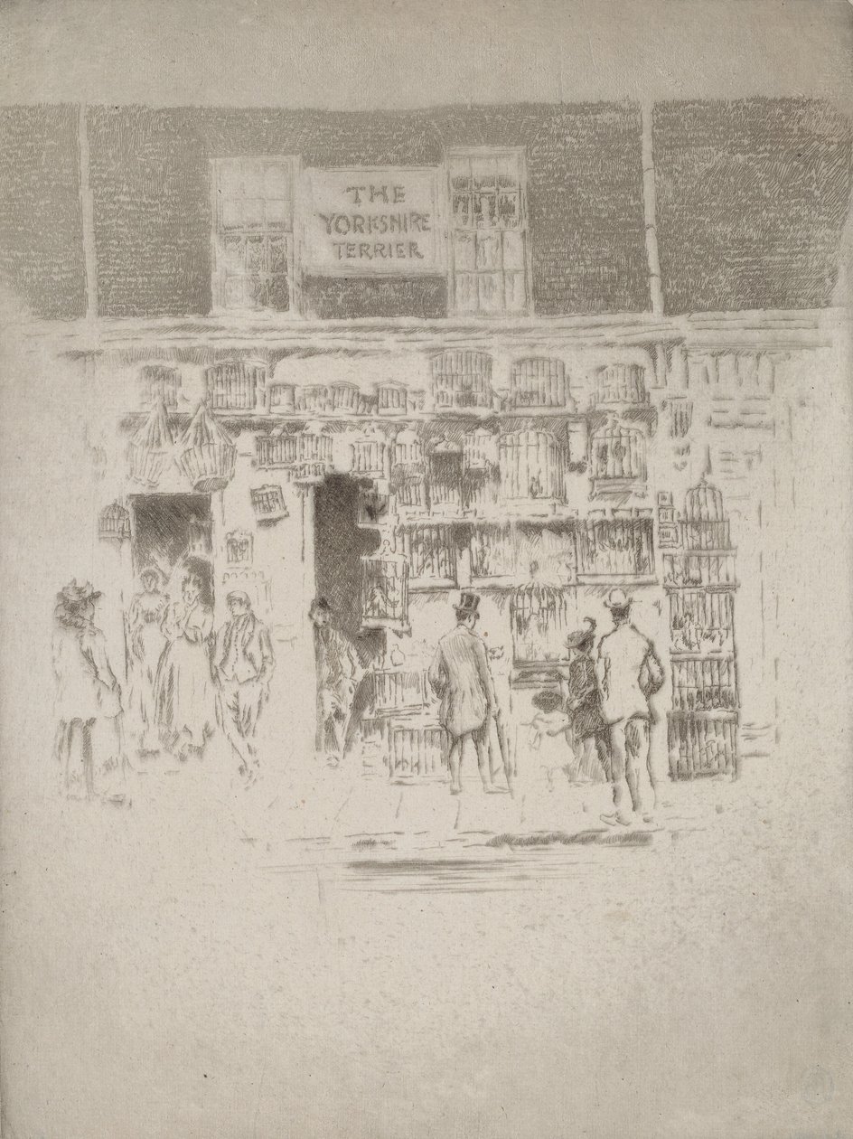 Jorkšírský teriér, 1903. od Joseph Pennell