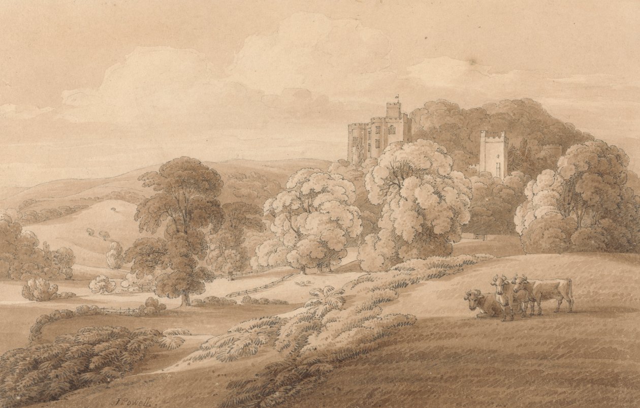 Hrad Dunster, Somerset od Joseph Powell