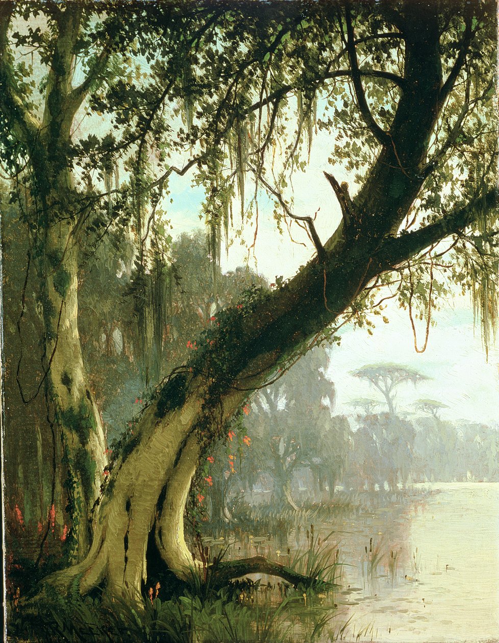 V Bayou od Joseph Rusling Meeker