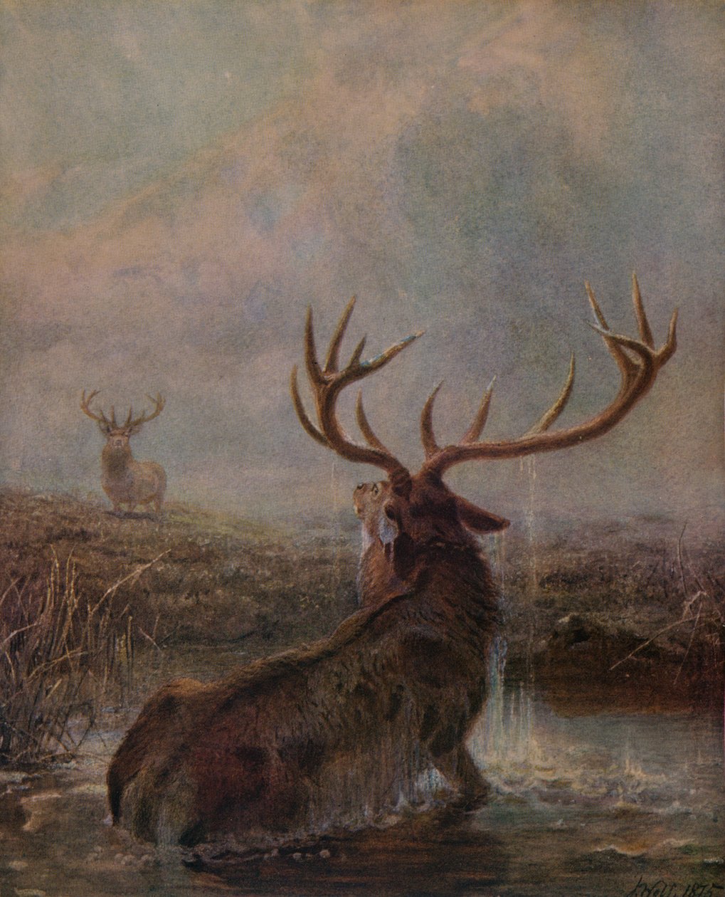 Přerušeno, 1875, 1938 od Joseph Wolf
