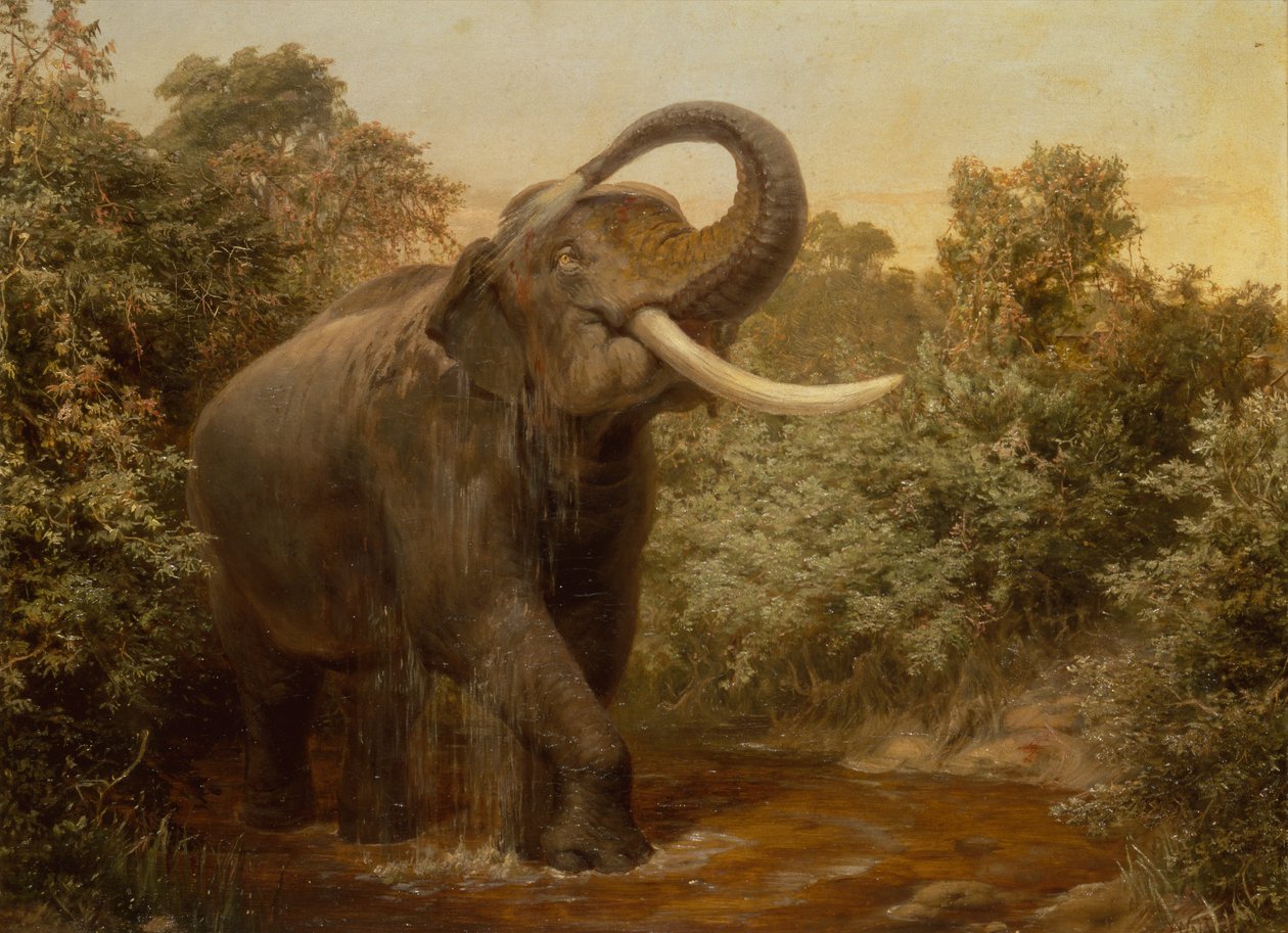 Monster Tusker (olej na plátně) od Joseph Wolf