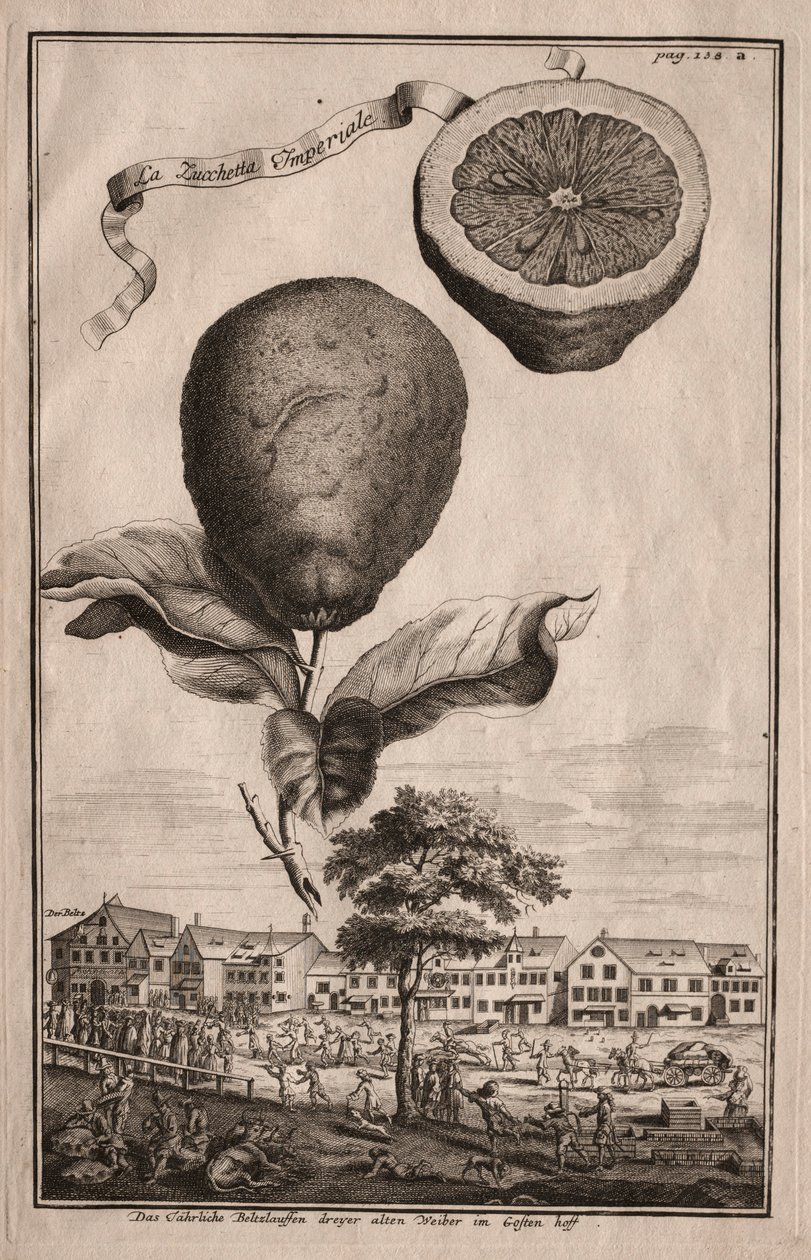 Nurnbergische Hesperides: La Luchetta Imperiale, 1714. od Joseph de Montalegre