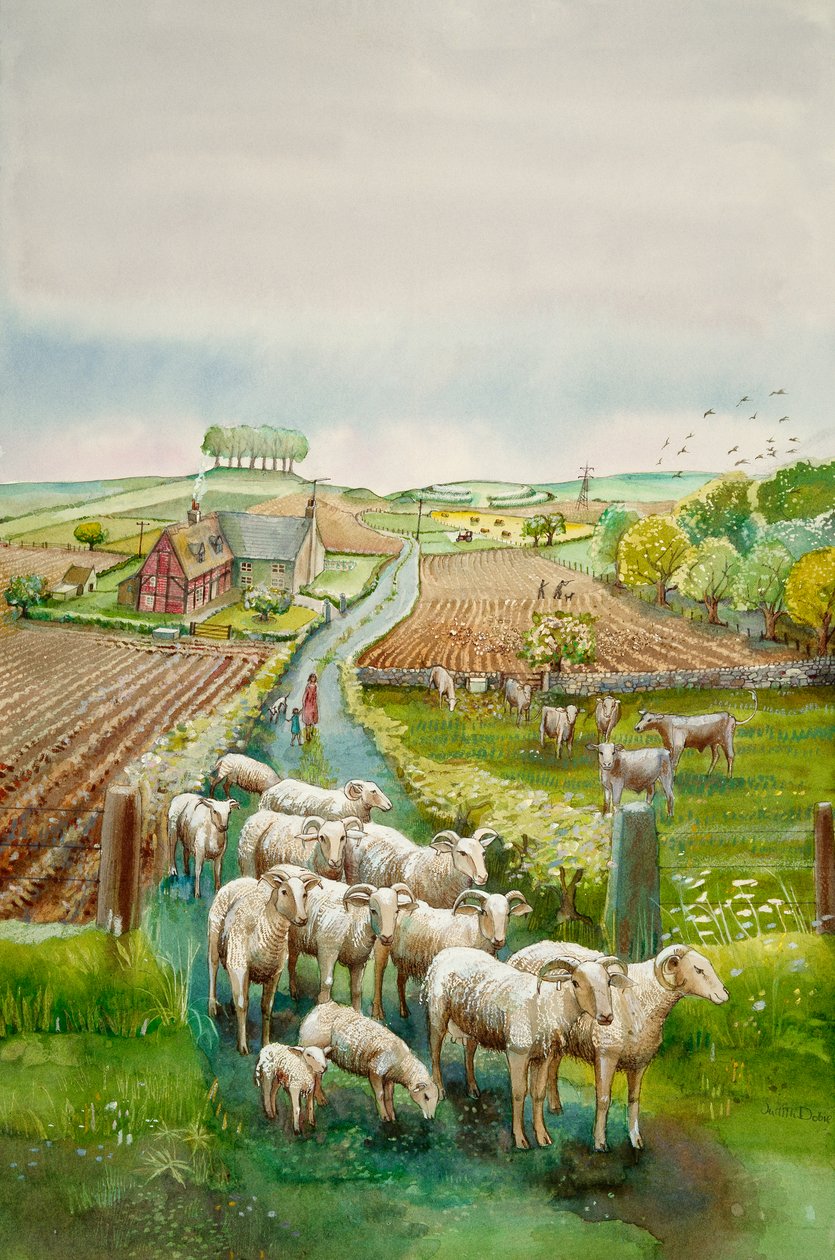 Venkovská krajina, c2010 od Judith Dobie